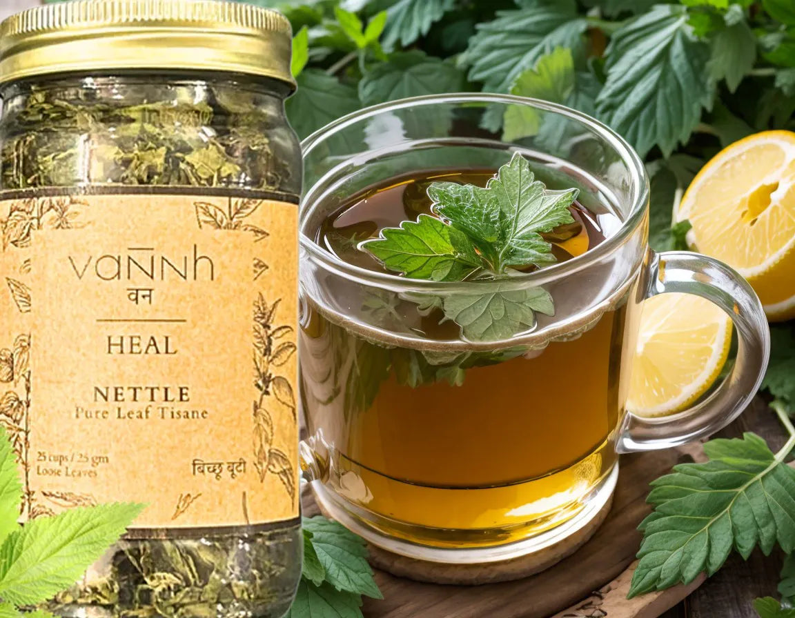 How To Make Nettle Leaf Tea At Home Vannh How To Make Nettle Leaf Tea At Home Vannh