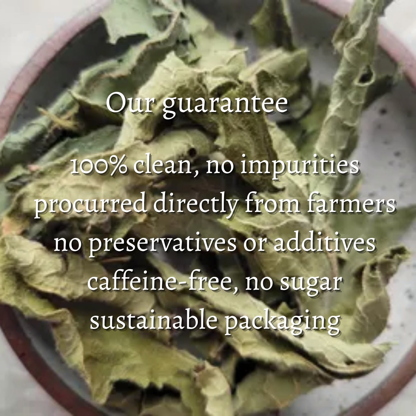 Comfrey Leaves Loose (Symphytum officinale)