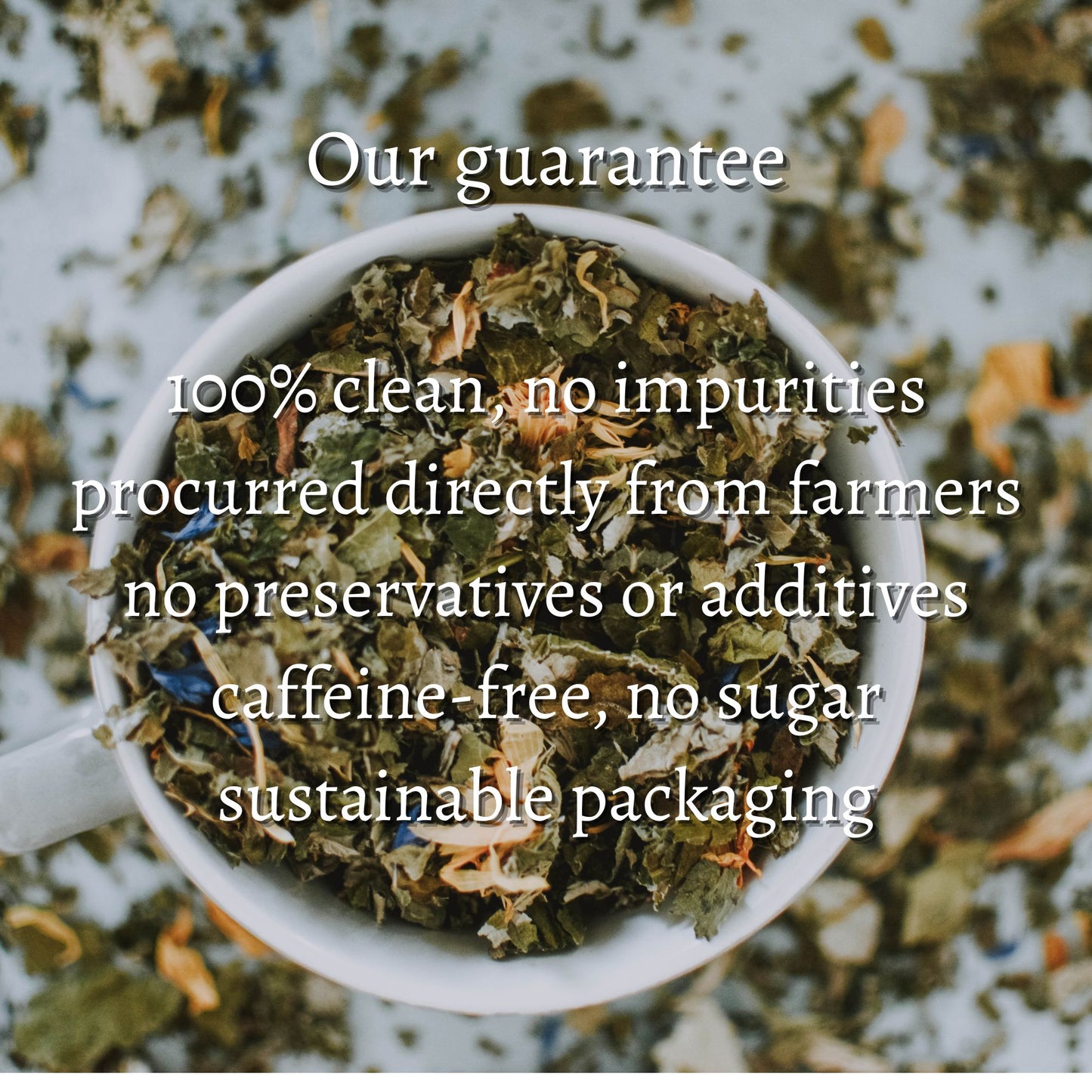 Dandelion Leaves Loose (Taraxacum officinale)