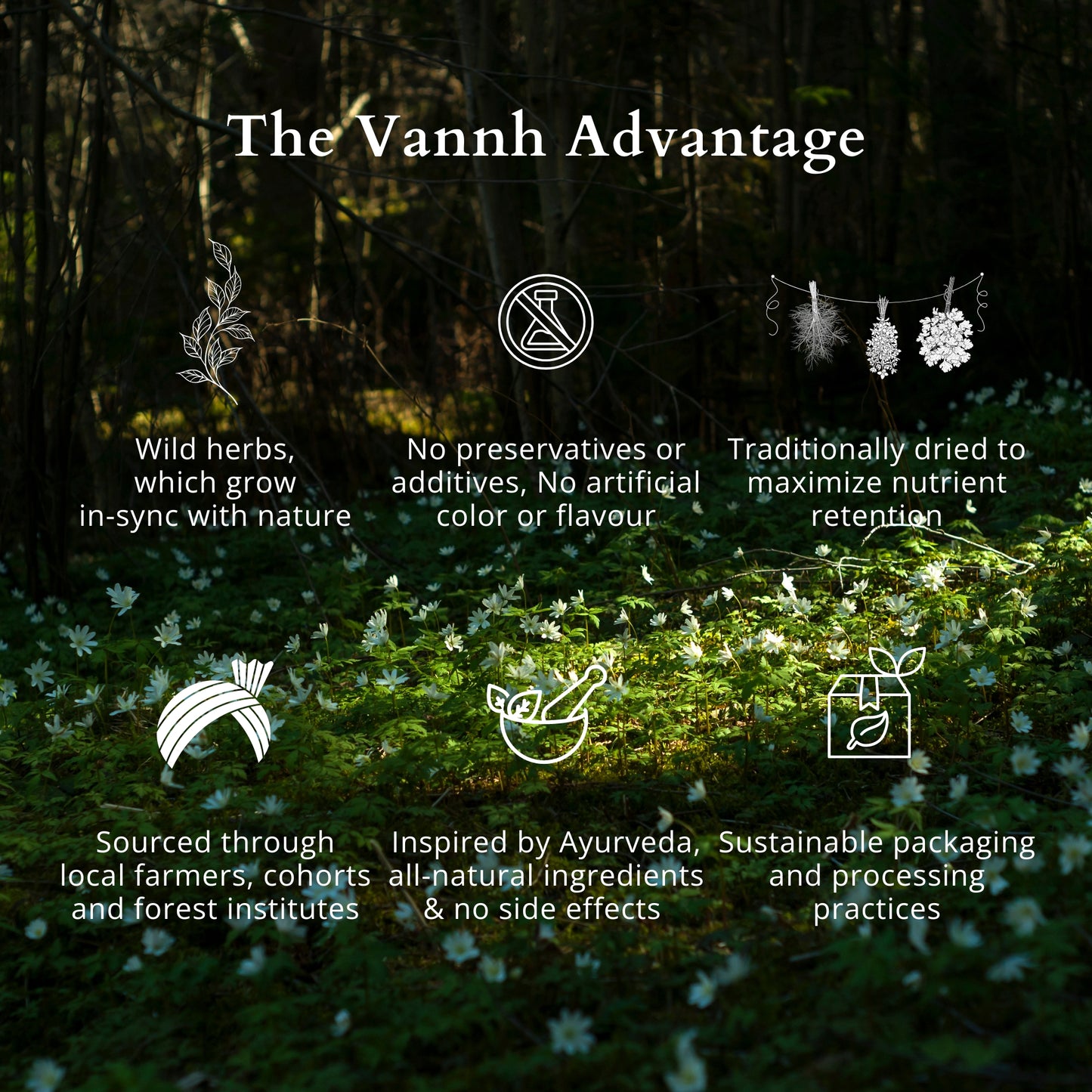 CHAMOMILE FLOWER TISANE | SLEEP BETTER | Loose | Pure Flower