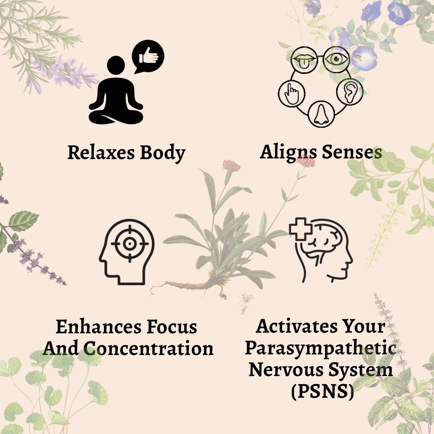 Pre-Meditation Activation Powder (60g)
