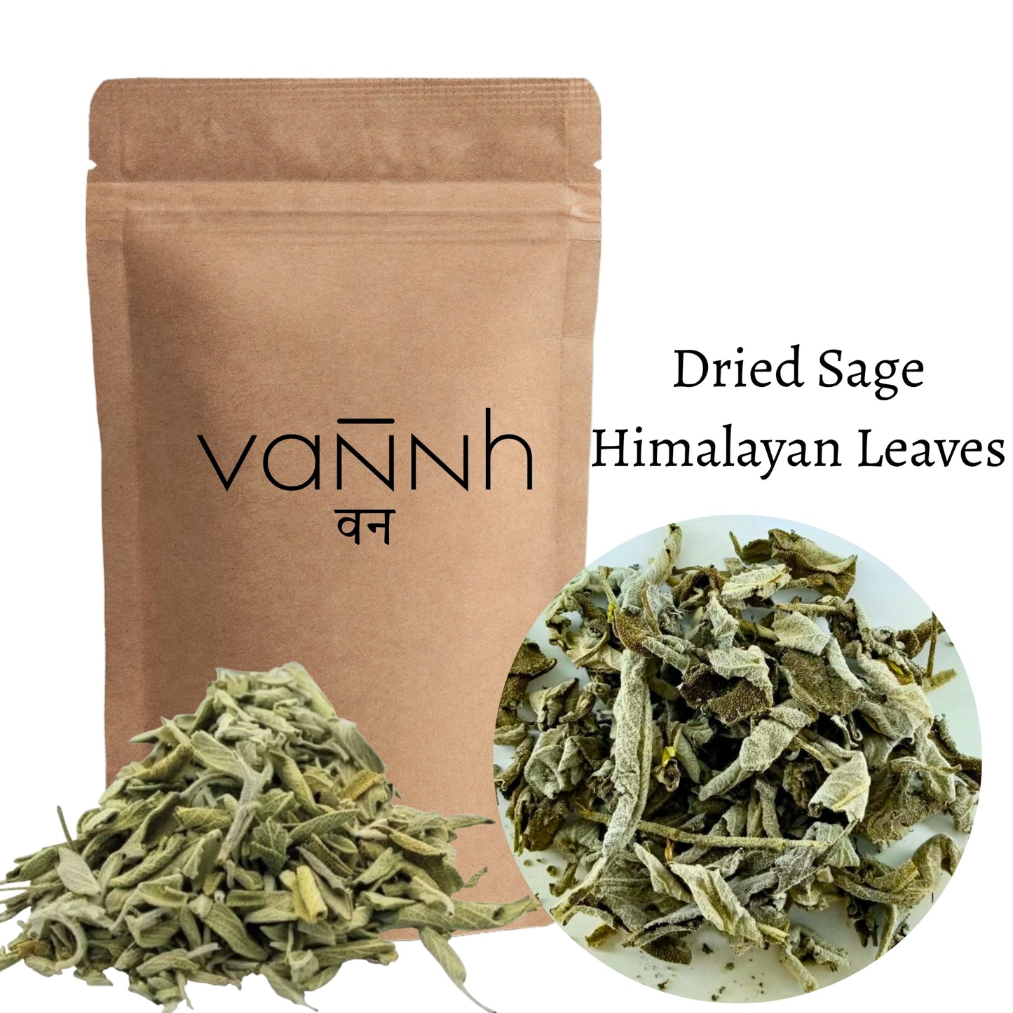 Dried Sage Himalayan Leaves (Salvia Hians)