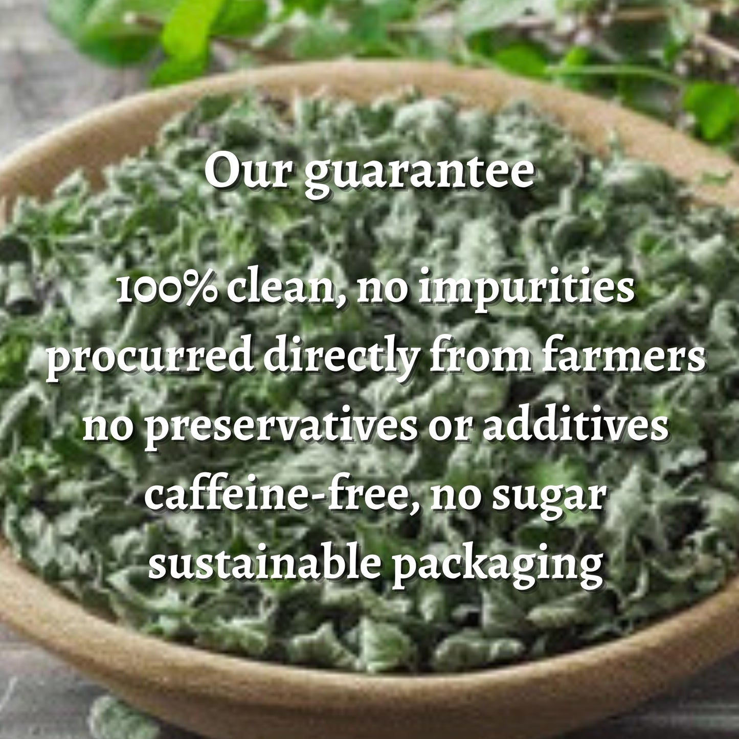 Dried Oregano Whole Leaves (Origanum vulgare)