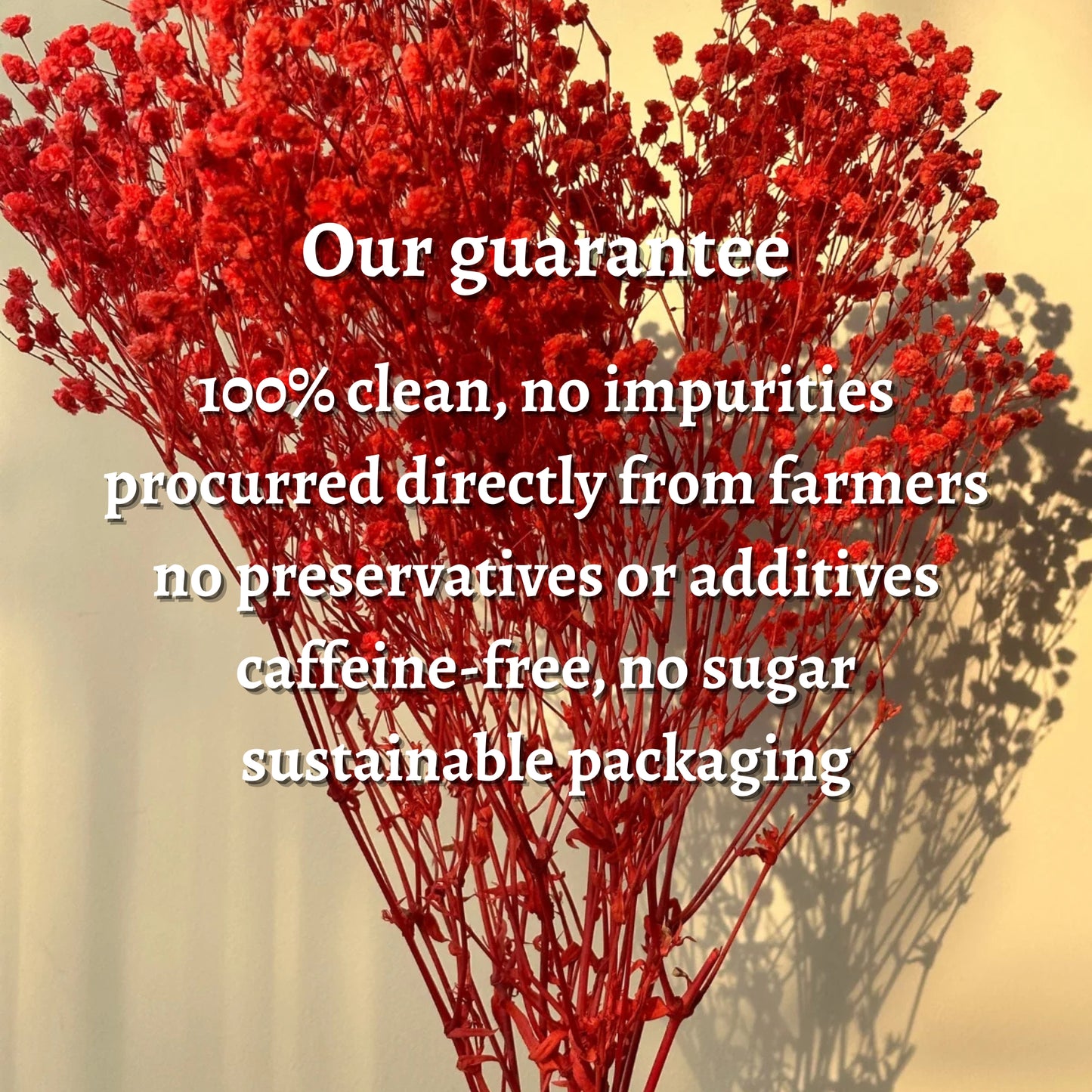 Red Baby Breath Wax Sachet