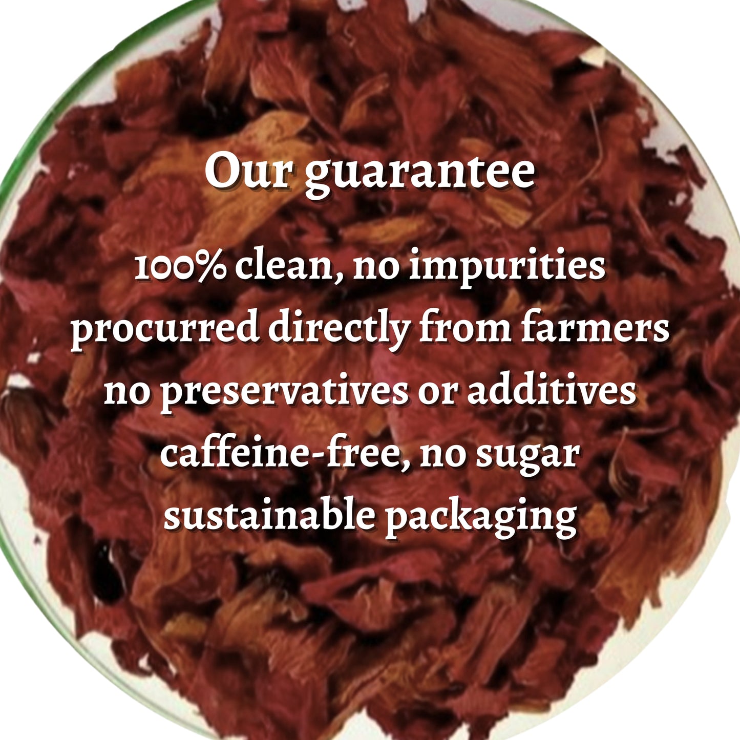 Dried Rhododendron Buransh Flower