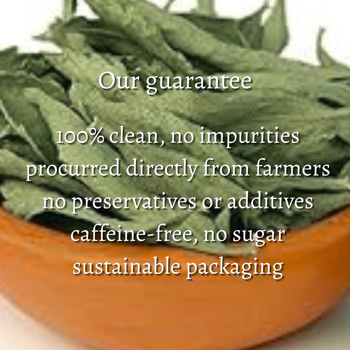 Stevia Loose Leaves (Stevia rebaudiana)