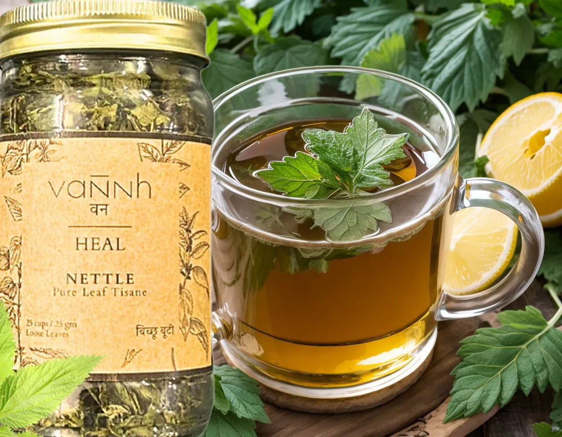 How to make Nettle leaf tea at home?