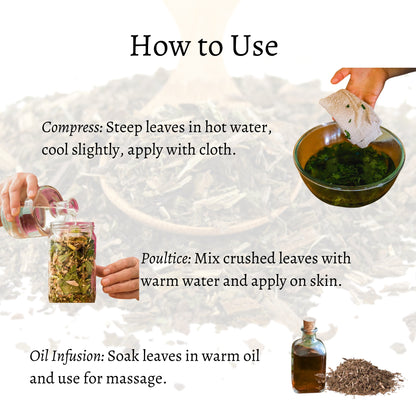 Comfrey Leaves Loose (Symphytum officinale)