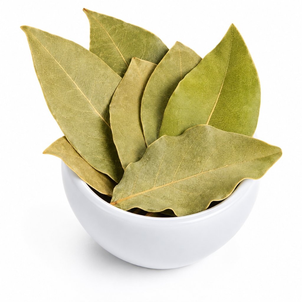 Bay Leaves  | Laurus nobilis  | Pimenta racemosa