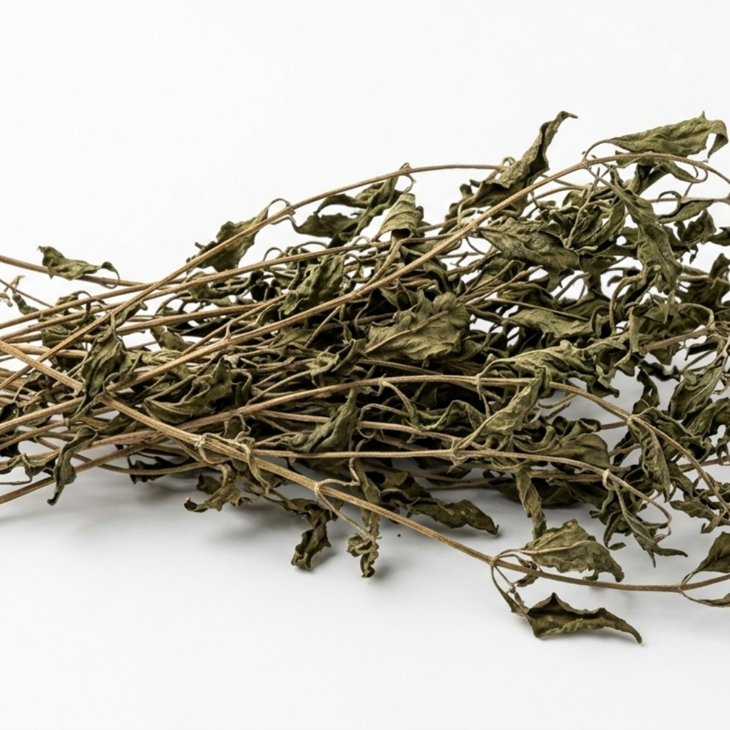 Dried Kalmegh Leaves with Stems Whole | Andrographis paniculata