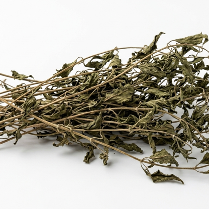 Dried Kalmegh Leaves with Stems Whole | Andrographis paniculata