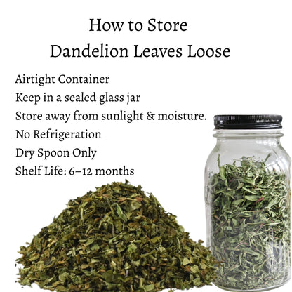 Dandelion Leaves Loose (Taraxacum officinale)