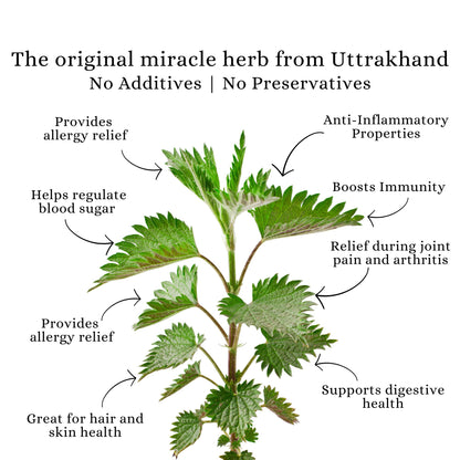 NETTLE TISANE | HEAL | Loose | Pure Leaf