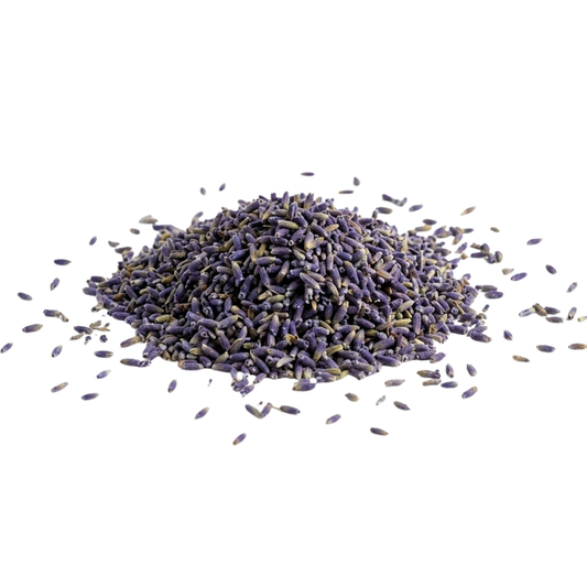 Dried Lavender Flower Buds