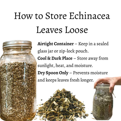 Echinacea Leaves Loose (Echinacea purpurea)