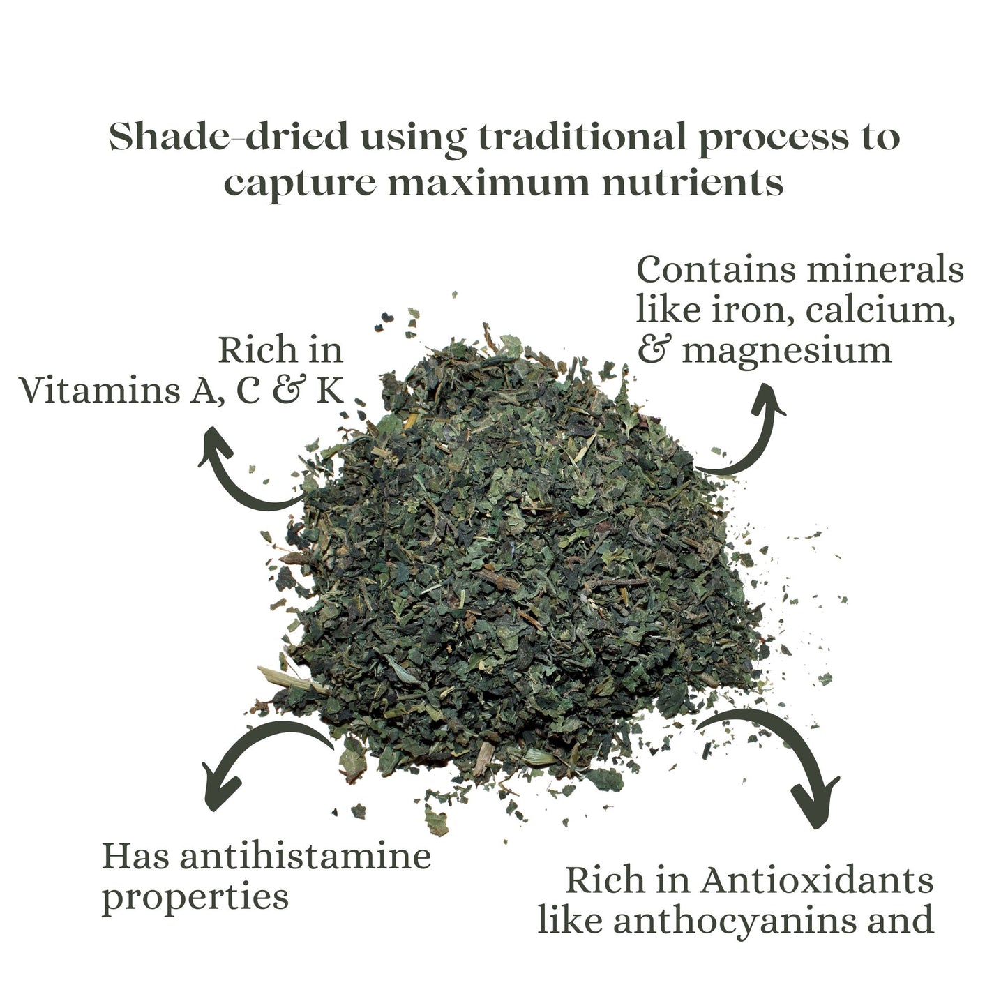 NETTLE TISANE | HEAL | Loose | Pure Leaf