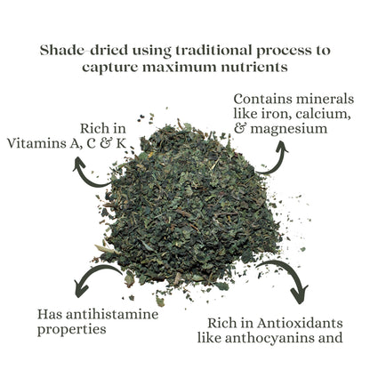 NETTLE TISANE | HEAL | Loose | Pure Leaf