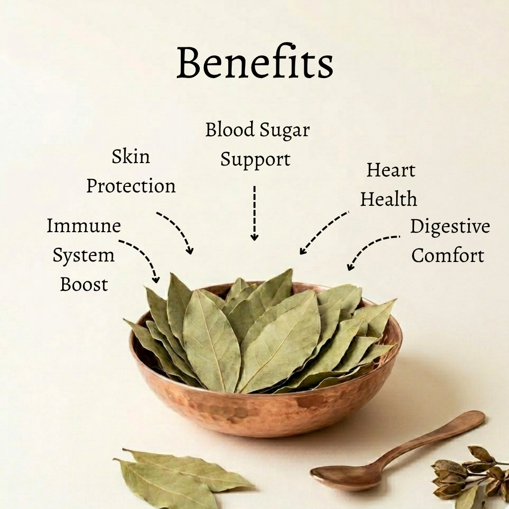 Bay Leaves  | Laurus nobilis  | Pimenta racemosa