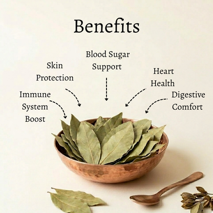 Bay Leaves  | Laurus nobilis  | Pimenta racemosa