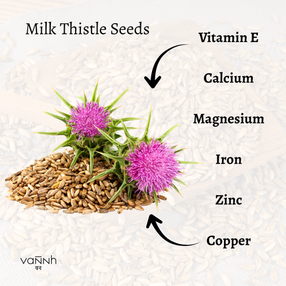 Milk Thistle Seeds | 100% Pure, No Preservatives, No Additives