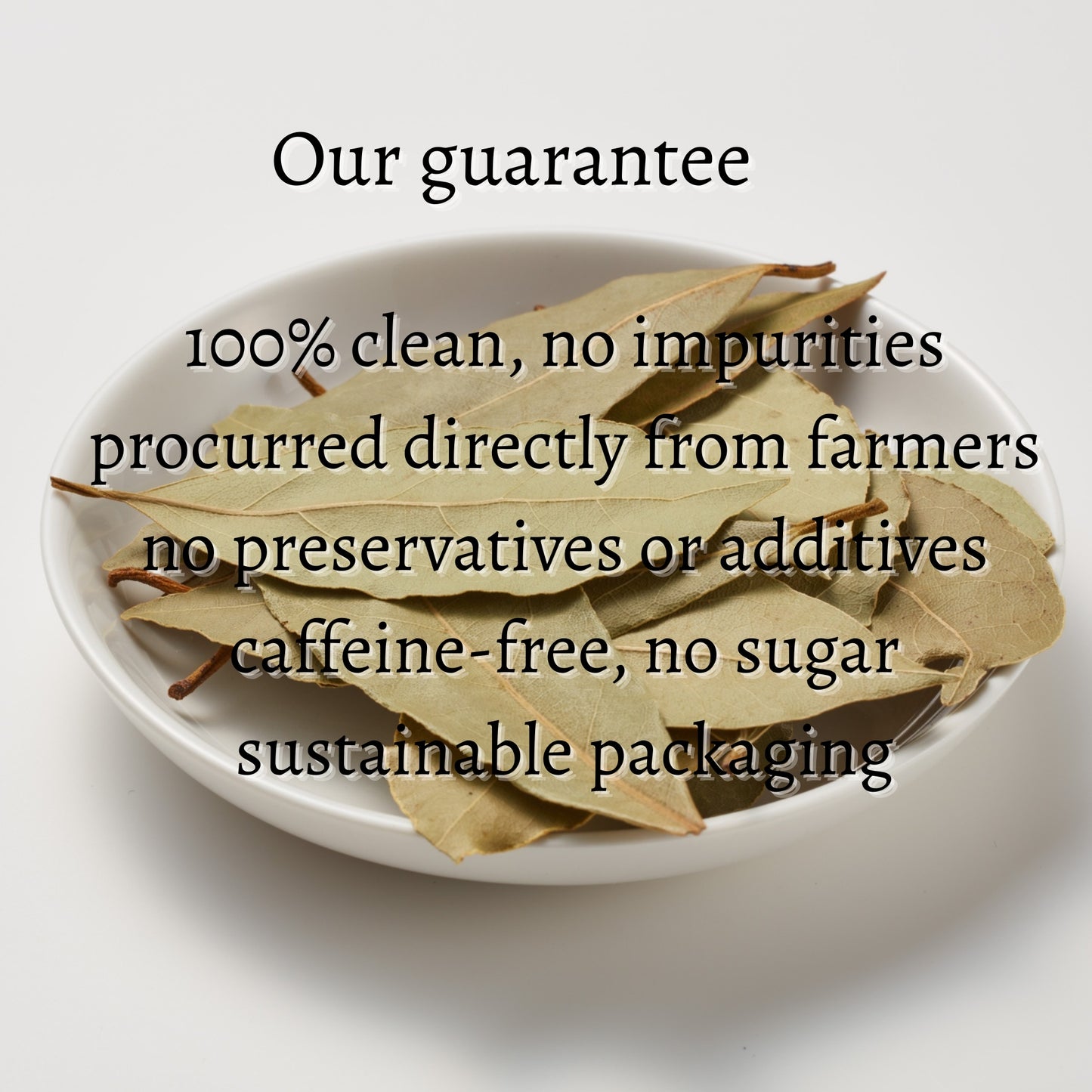 Curry Leaves Loose (Kadi Patta)