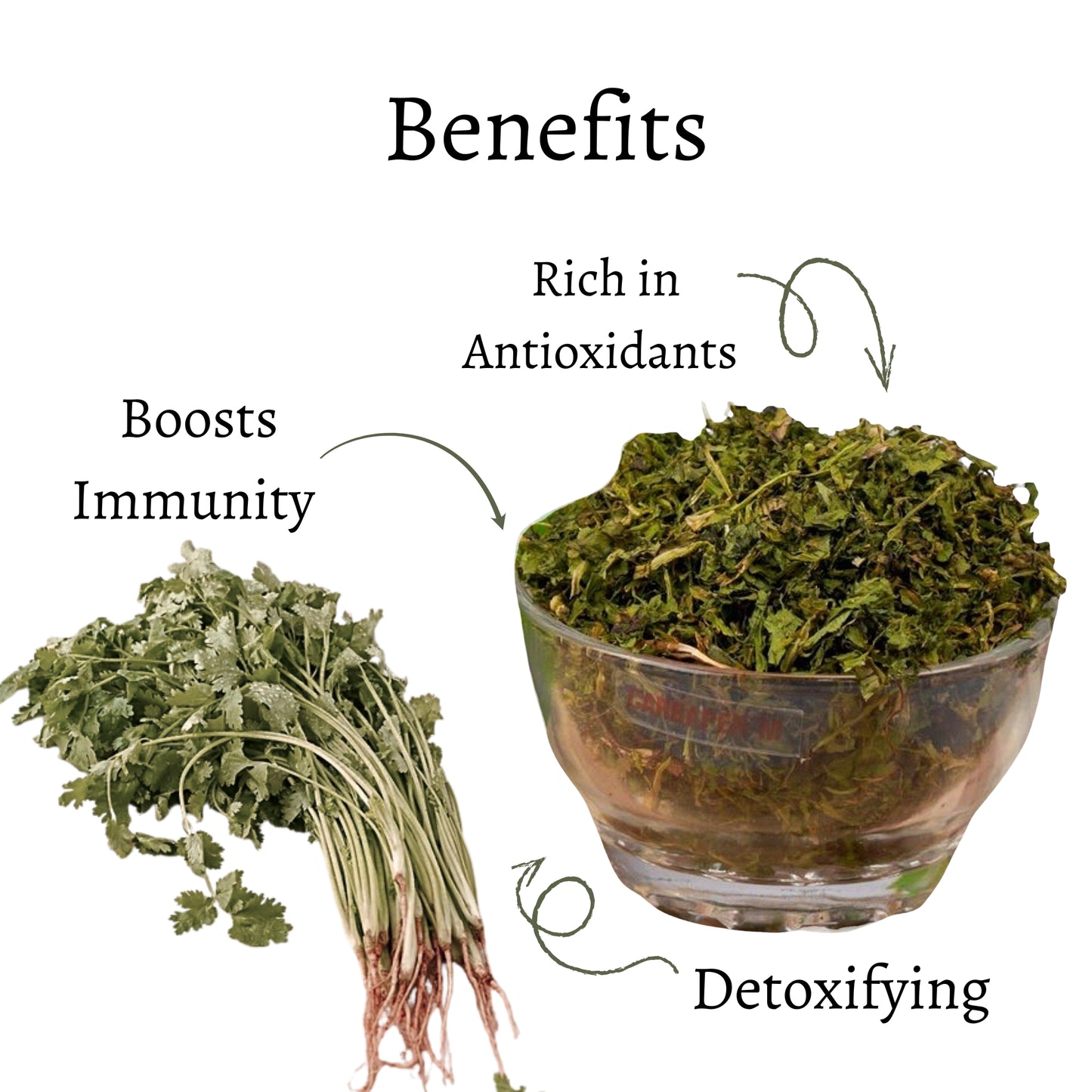 Coriander Leaves Whole (Dhania Patta)