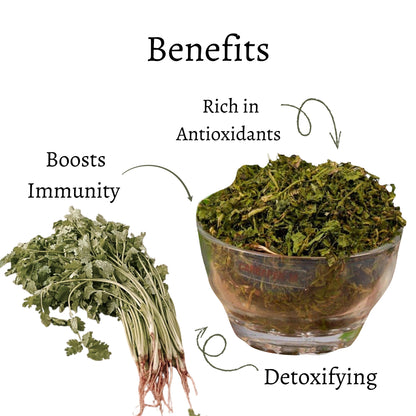 Coriander Leaves Whole (Dhania Patta)