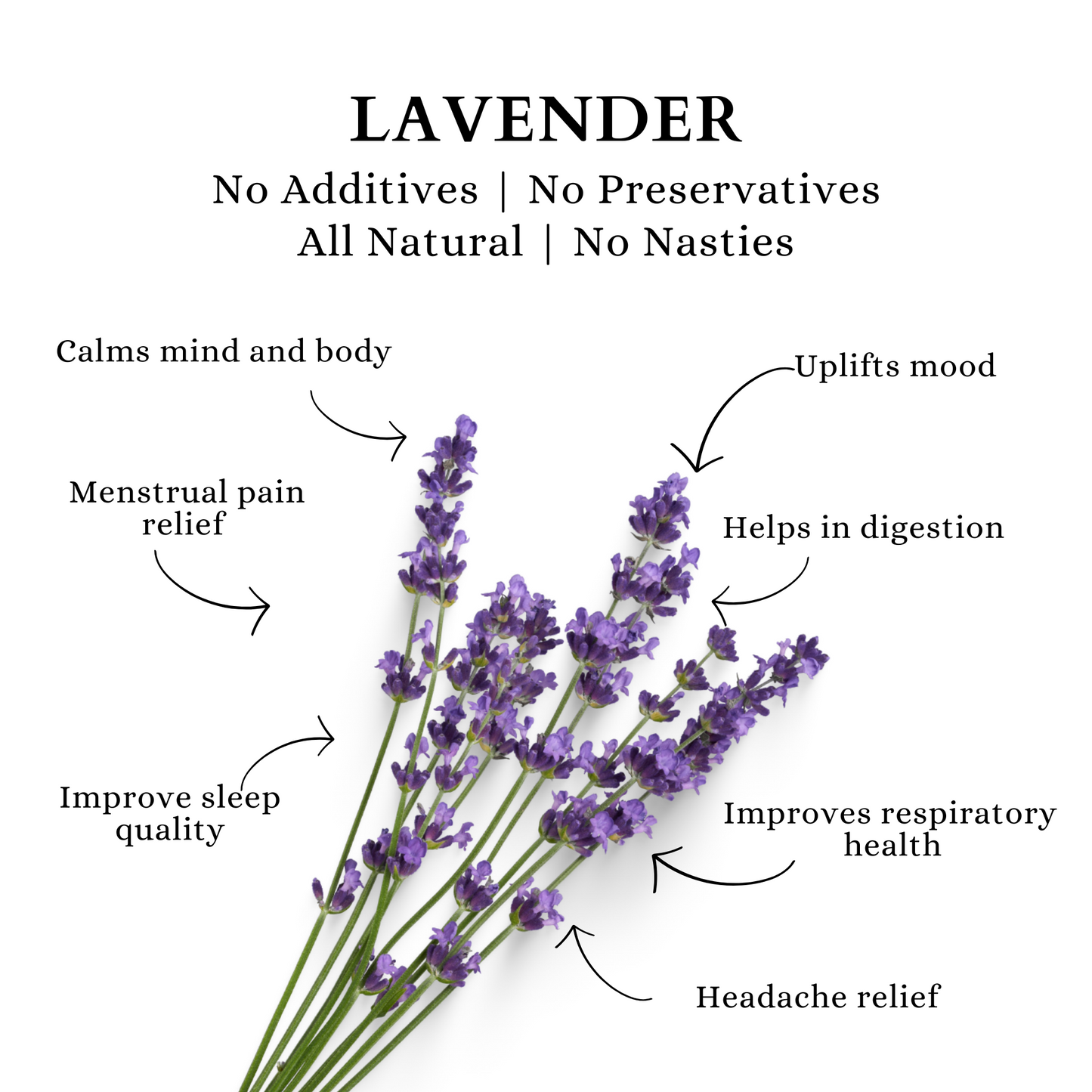 LAVENDER FLOWER TISANE | CALM | Pure Flower | 25 Paper Bags