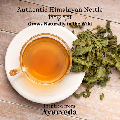 NETTLE TISANE | HEAL | Loose | Pure Leaf