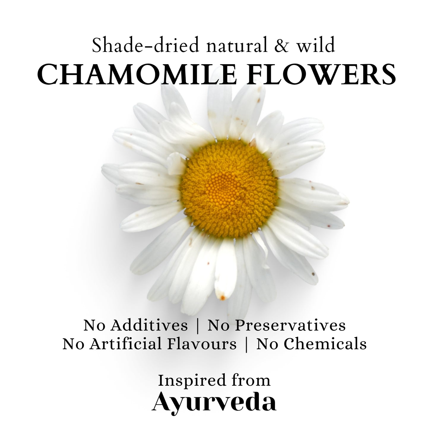 CHAMOMILE FLOWER TISANE | SLEEP BETTER | Pure Flower | 25 Cloth Bags