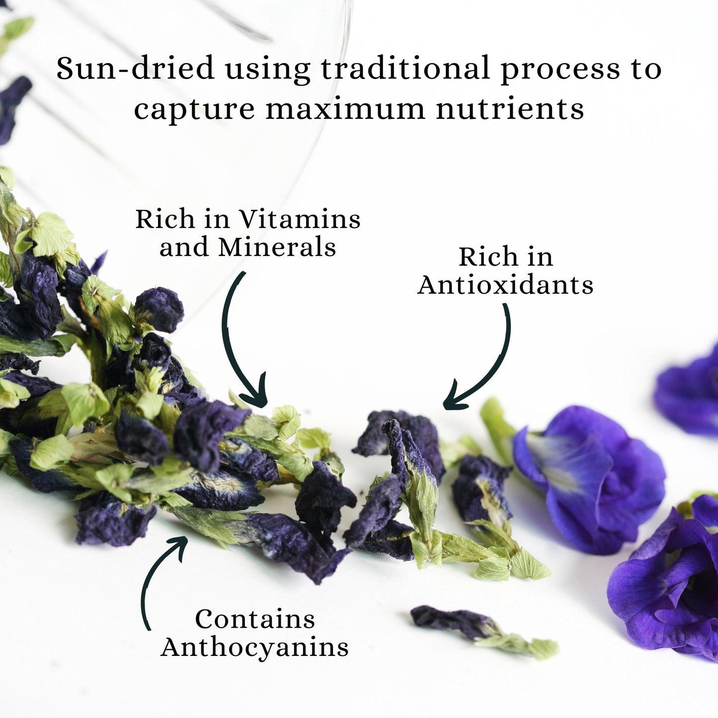 BLUE PEA FLOWER TISANE | CLARITY | Loose | Pure Flower