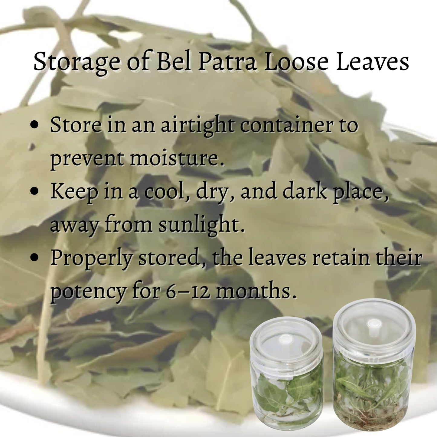 Bel Patra Loose Leaves (Aegle marmelos)