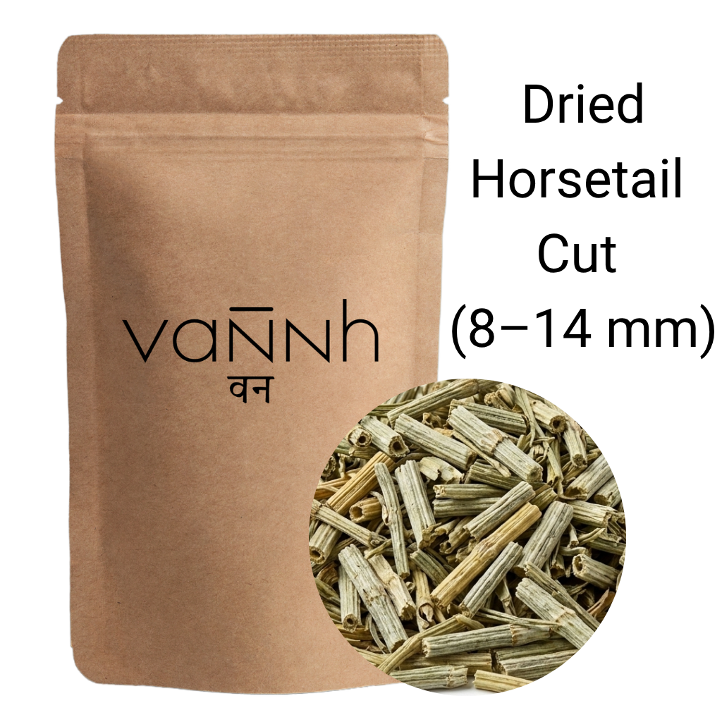 Dried Horsetail Cut (8–14 mm) | Equisetum Arvense
