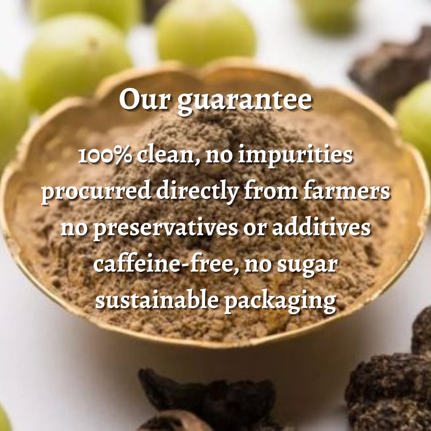 Amla Powder (Without Seed)