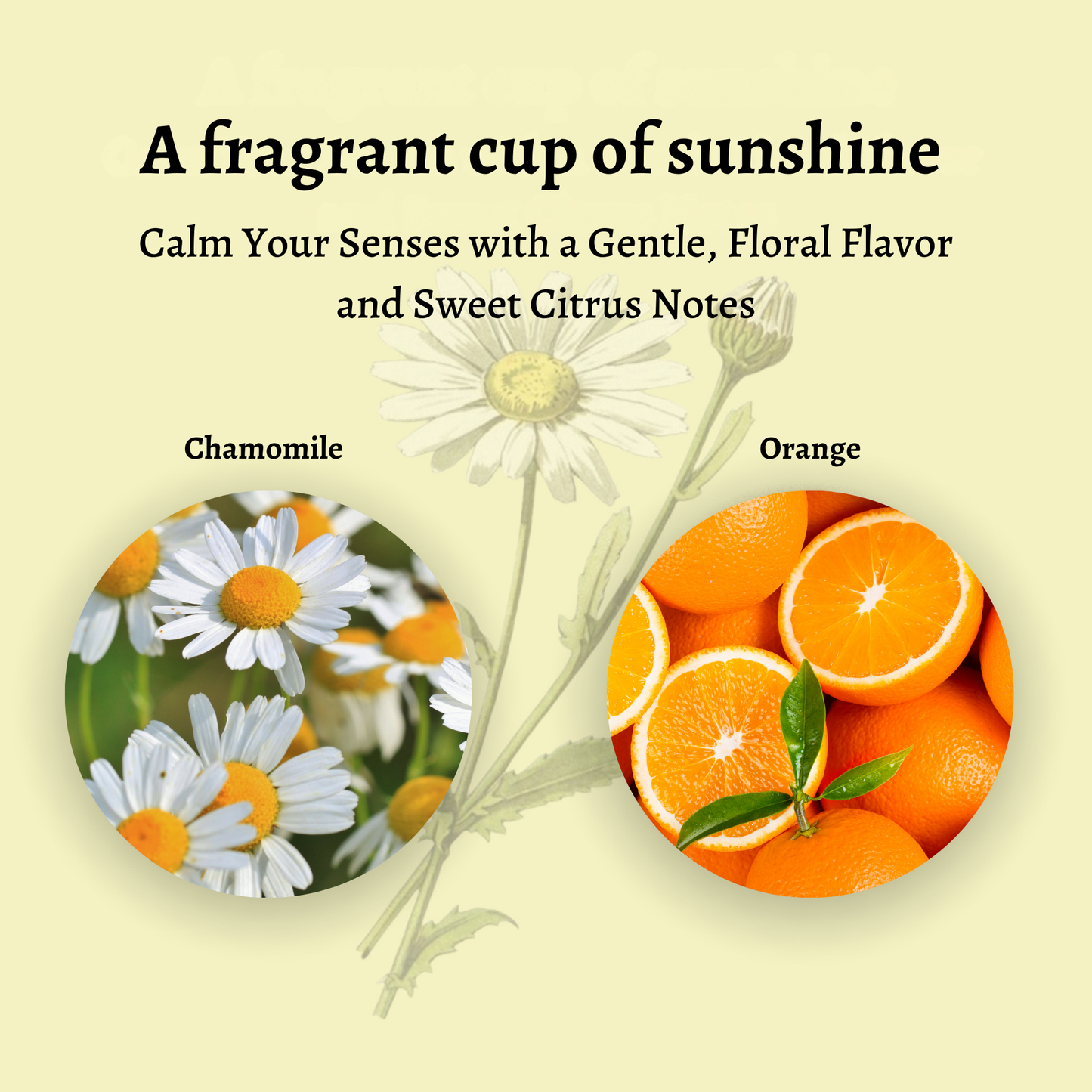 Vannh Chamorange Loose Tisane (40g)
