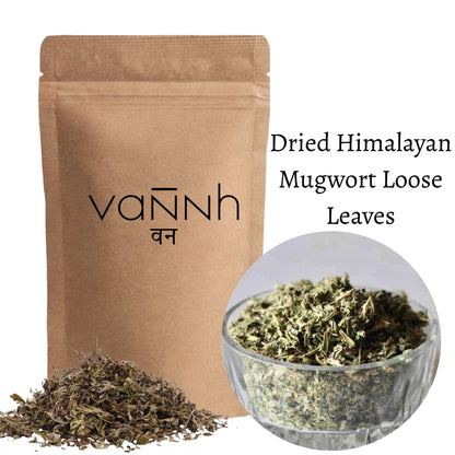 Himalayan Mugwort (Artemisia vulgaris)