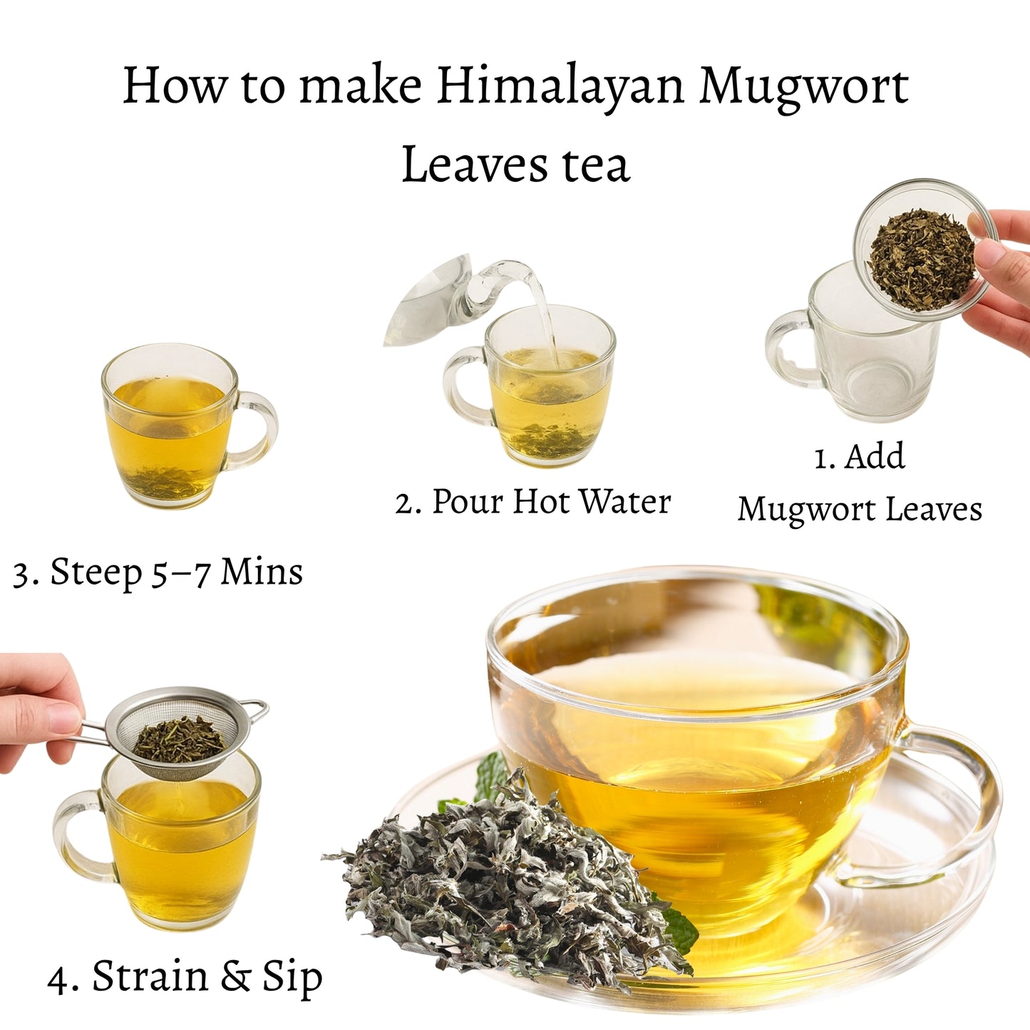 Himalayan Mugwort (Artemisia vulgaris)