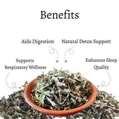 Himalayan Mugwort (Artemisia vulgaris)