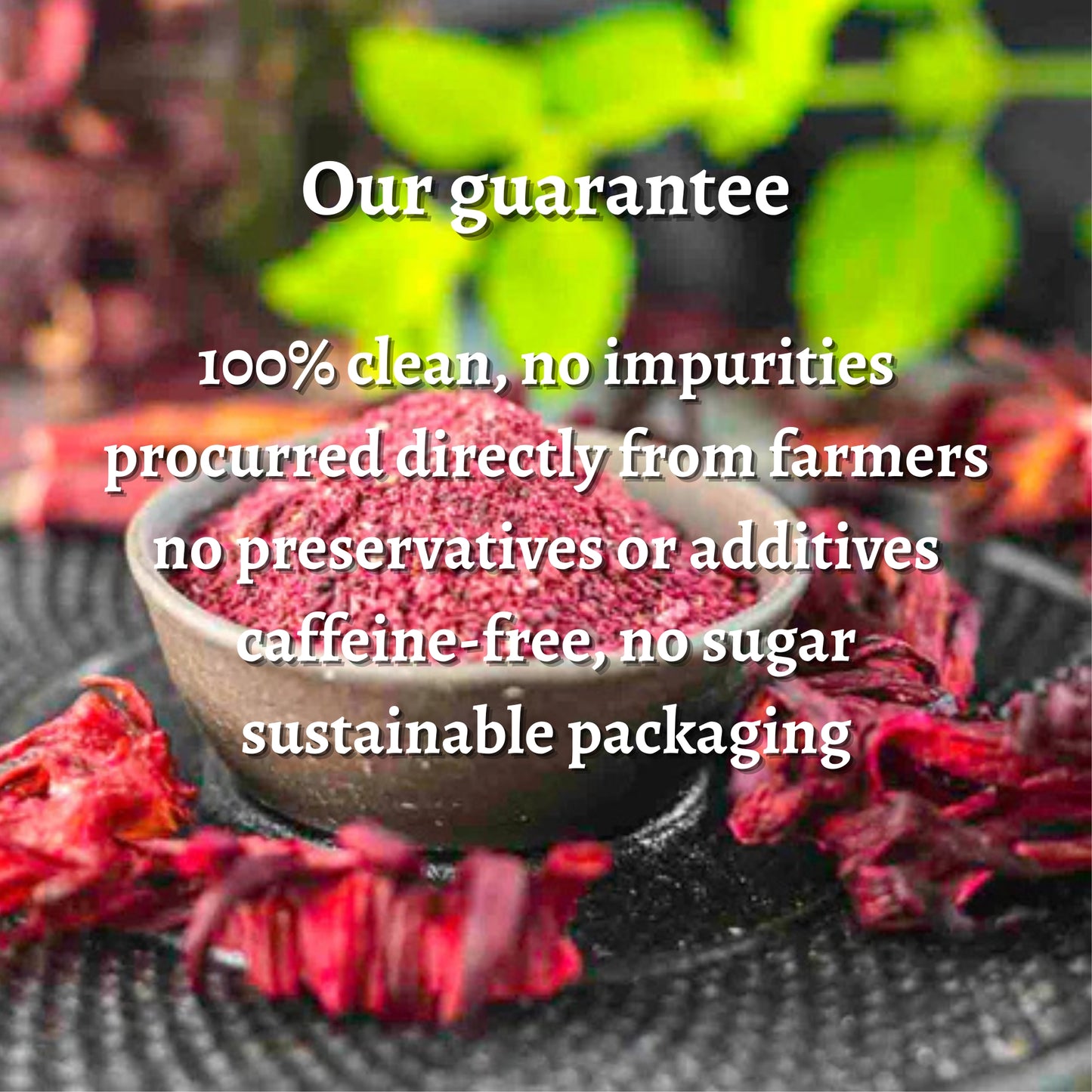 Hibiscus Powder (Rosa sinensis)