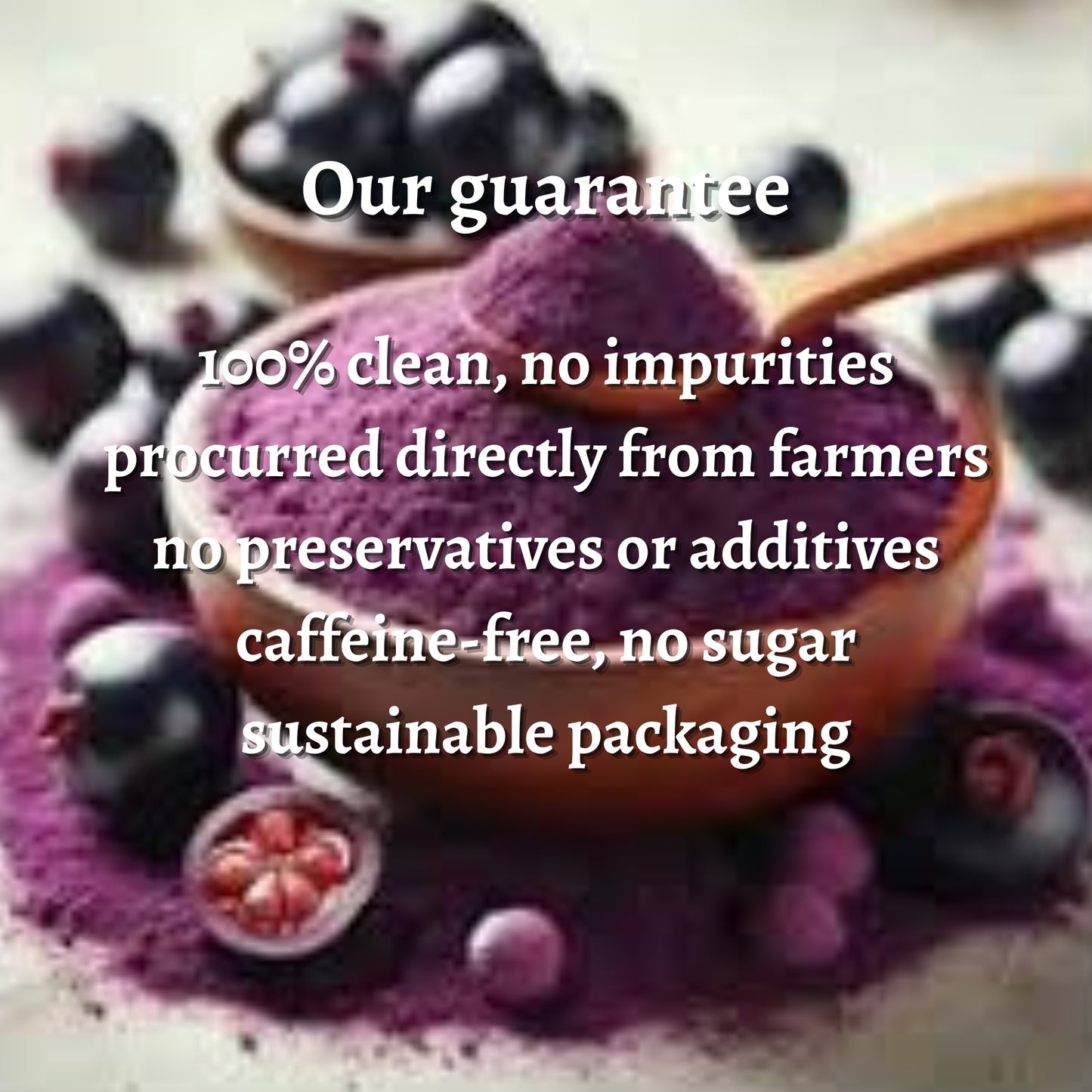 Kokum Powder (Spray Dried)