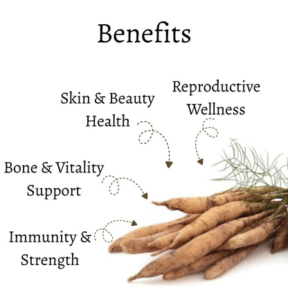 Dried Himalayan Shatavari Roots (Whole)