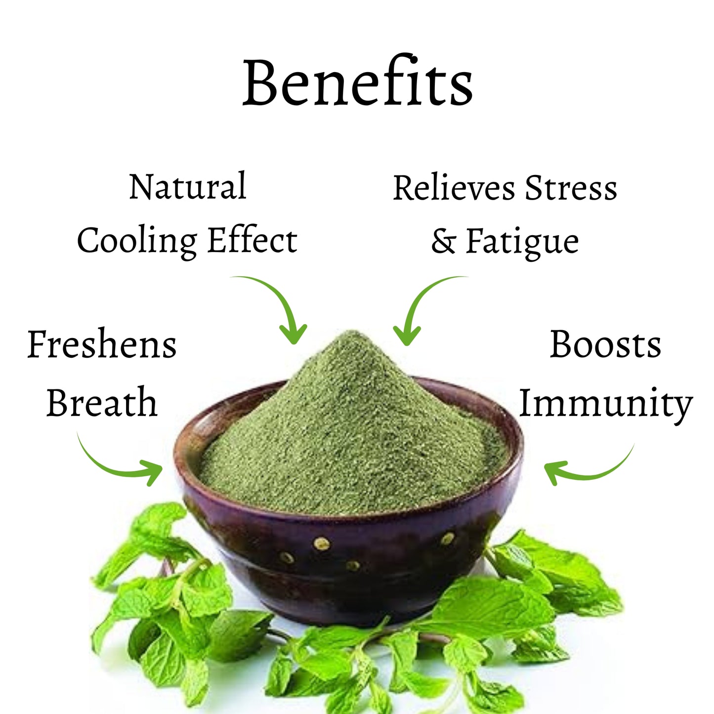 Mint Powder | 100% Pure, No Preservatives, No Additives