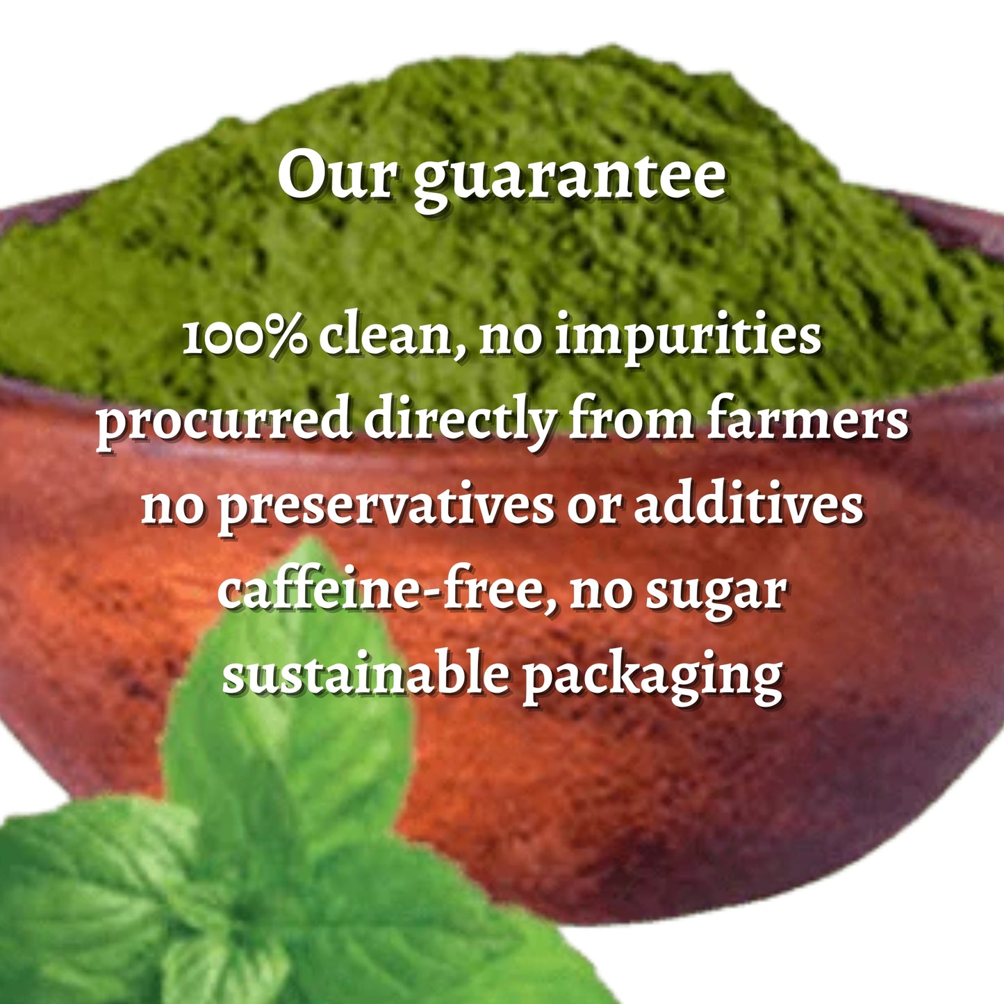 Mint Powder | 100% Pure, No Preservatives, No Additives