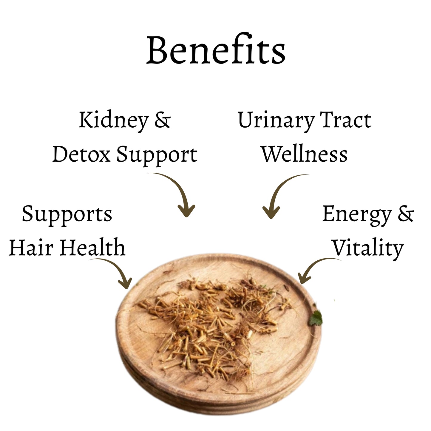 Dried Nettle Root (Whole)