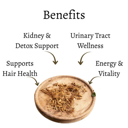 Dried Nettle Root (Whole)