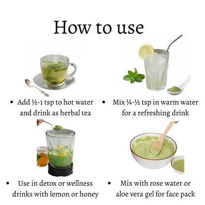 Spearmint Powder | 100% Pure, No Preservatives, No Additives