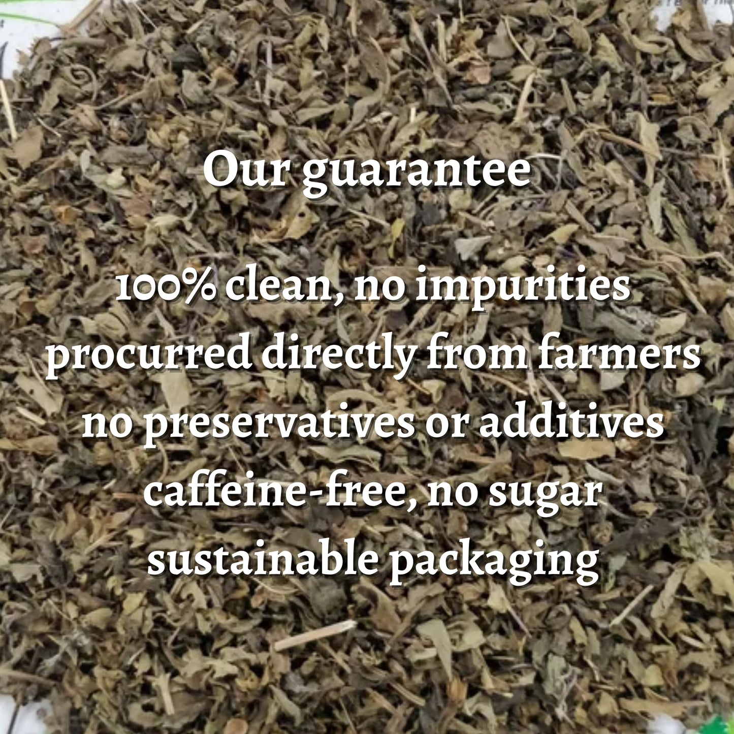 Tulsi Vana Loose Leaves (Ocimum gratissimum)