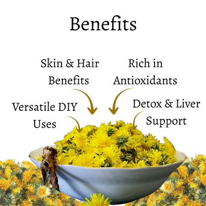 Dried Dandelion Flower