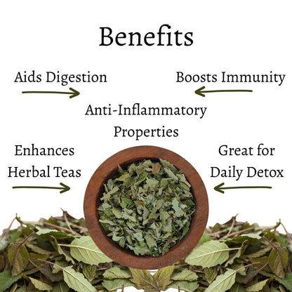 Tulsi Loose Leaves (Ocimum sanctum)