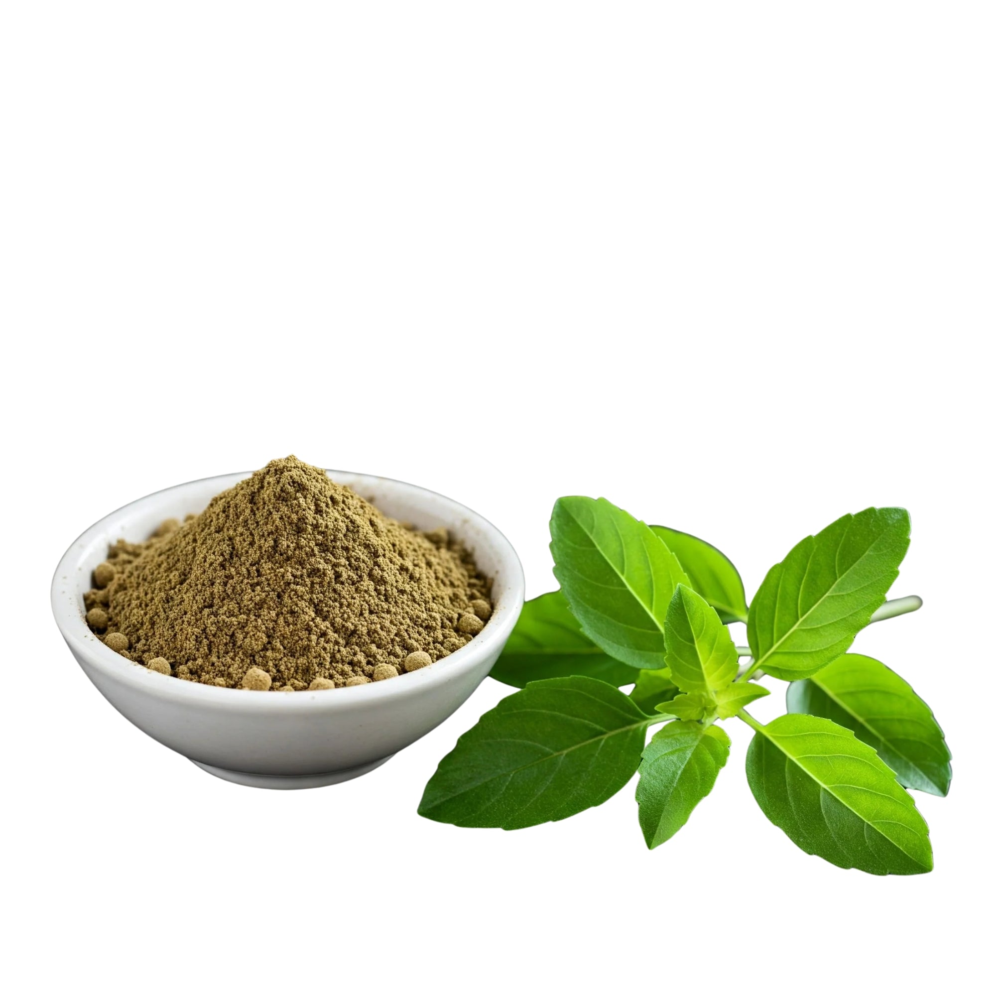 Basil Powder | 100% Pure, No Preservatives, No Additives – Vannh